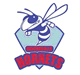 Rochdale Hornets